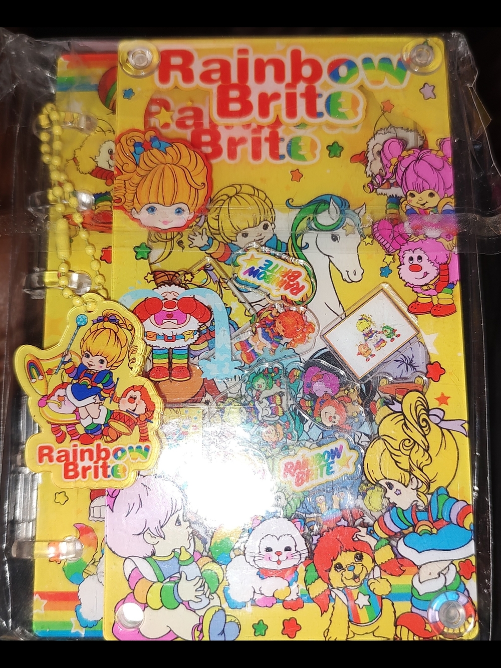 Rainbow Brite A7 Size Acrylic Shaker Notebook With Paper